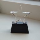 Star Trophy